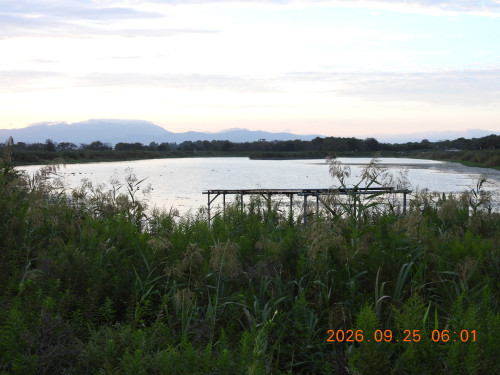 DSCN5585.JPG