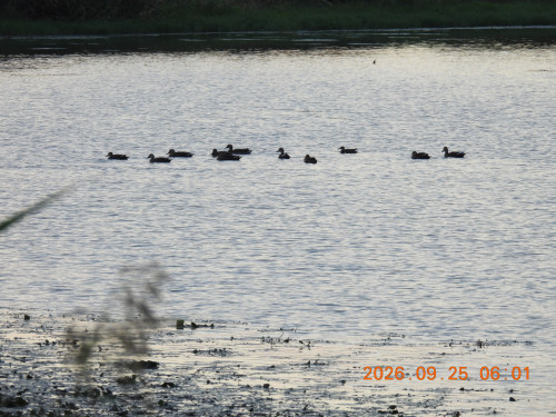 DSCN5586.JPG