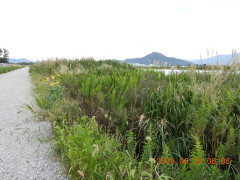 DSCN5591.JPG