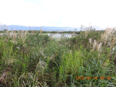DSCN5592.JPG