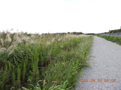 DSCN5593.JPG
