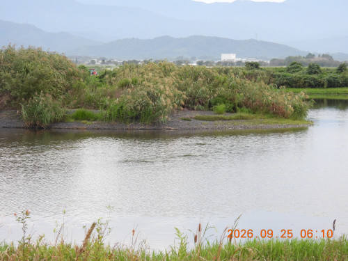 DSCN5594.JPG