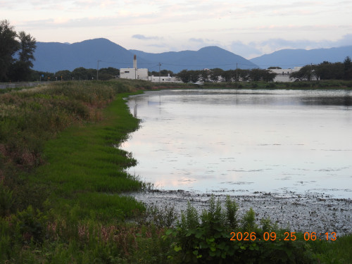 DSCN5595.JPG