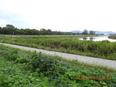 DSCN5596.JPG