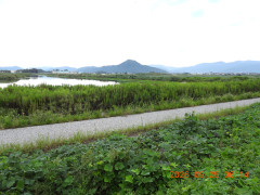 DSCN5597.JPG