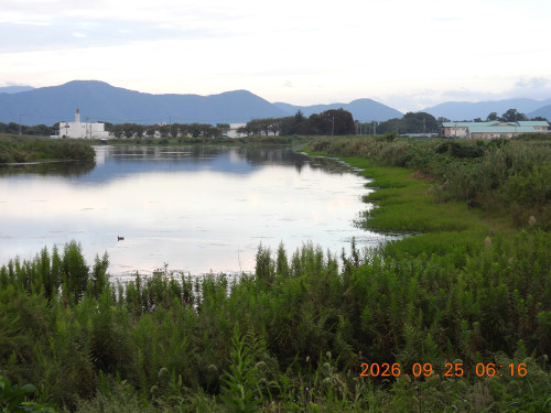 DSCN5598.JPG