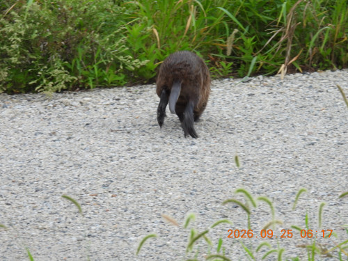 DSCN5599.JPG
