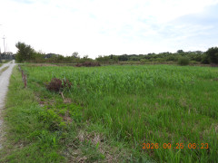 DSCN5602.JPG