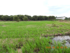 DSCN5603.JPG