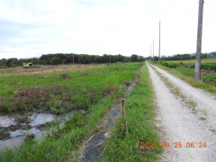 DSCN5604.JPG