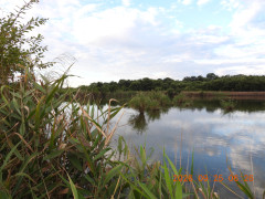 DSCN5605.JPG