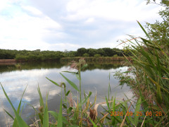 DSCN5606.JPG