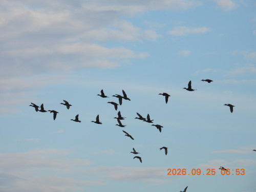 DSCN5611.JPG