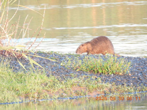 DSCN5637.JPG
