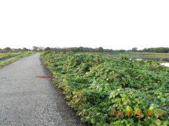 DSCN5642.JPG