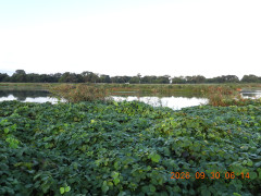 DSCN5643.JPG