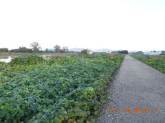 DSCN5645.JPG