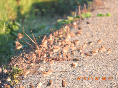 DSCN5647.JPG