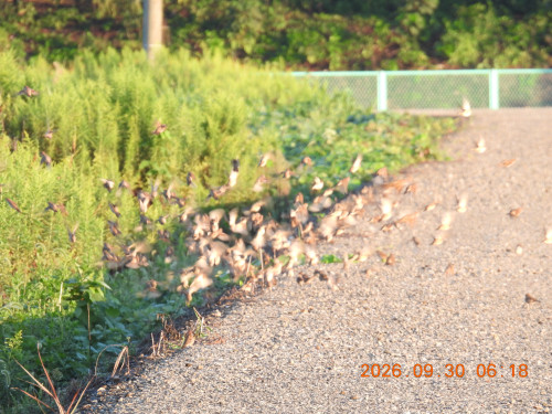 DSCN5650.JPG