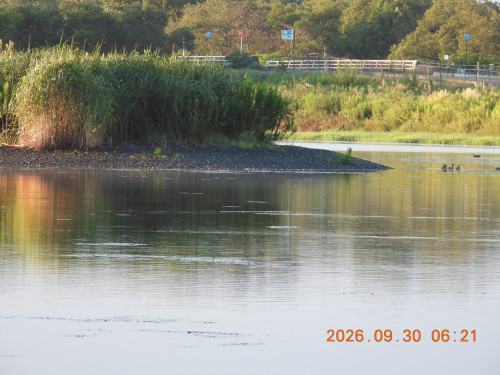 DSCN5657.JPG