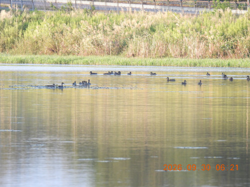 DSCN5659.JPG