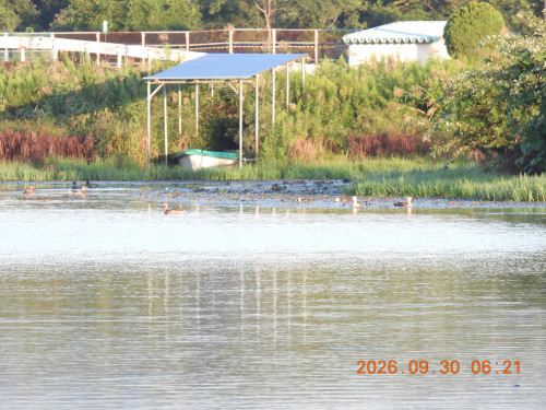 DSCN5658.JPG
