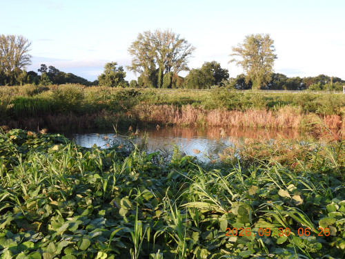 DSCN5664.JPG