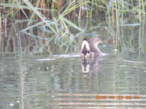 DSCN5663.JPG