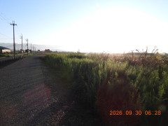 DSCN5665.JPG