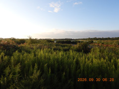 DSCN5666.JPG