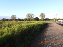 DSCN5667.JPG