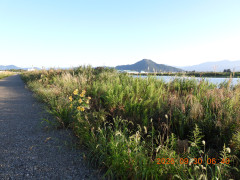 DSCN5674.JPG
