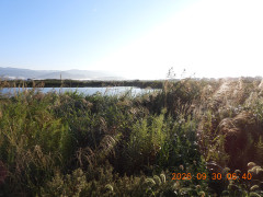 DSCN5675.JPG