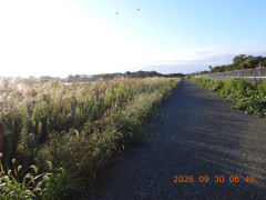 DSCN5676.JPG
