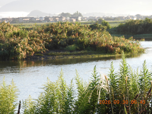 DSCN5678.JPG