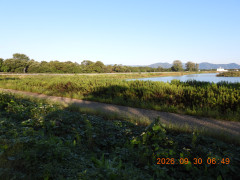 DSCN5681.JPG
