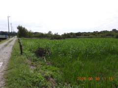 DSCN5708.JPG