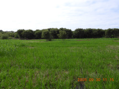 DSCN5709.JPG