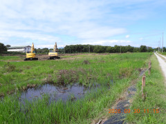 DSCN5710.JPG