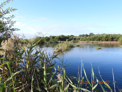 DSCN5693.JPG