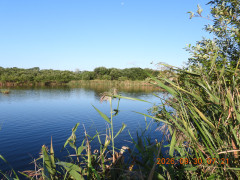 DSCN5694.JPG