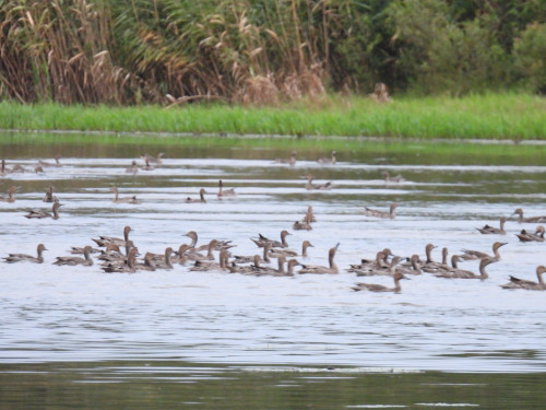 DSCN5806.JPG
