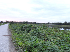 DSCN5794.JPG
