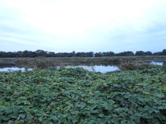 DSCN5795.JPG