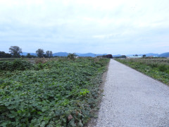 DSCN5796.JPG