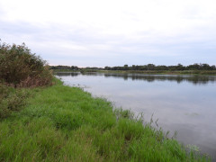 DSCN5799.JPG