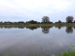 DSCN5800.JPG