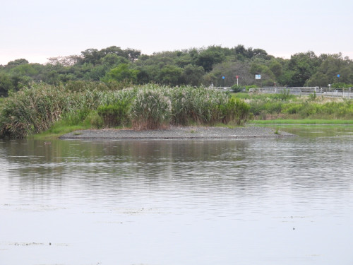 DSCN5802.JPG