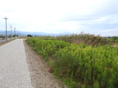 DSCN5813.JPG