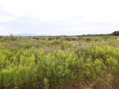 DSCN5814.JPG